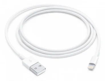 Câble Lightning vers USB (1 m)